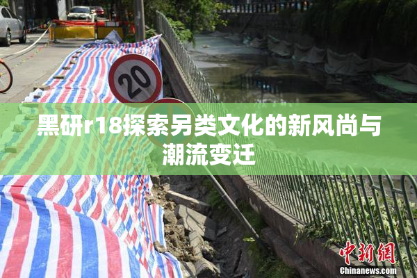 黑研r18探索另类文化的新风尚与潮流变迁
