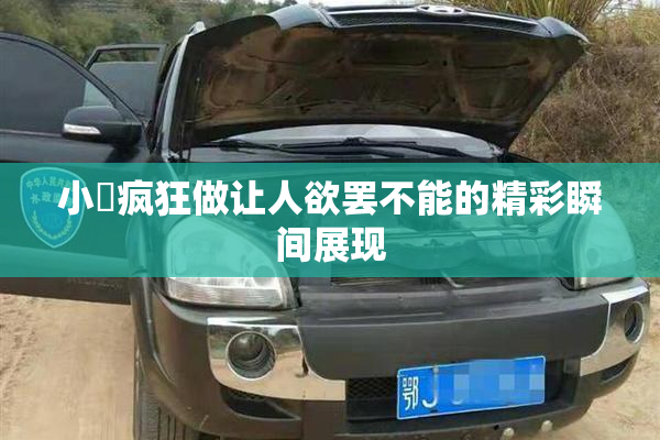小泬疯狂做让人欲罢不能的精彩瞬间展现