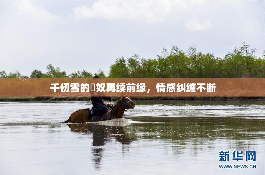 千仞雪的婬奴再续前缘，情感纠缠不断