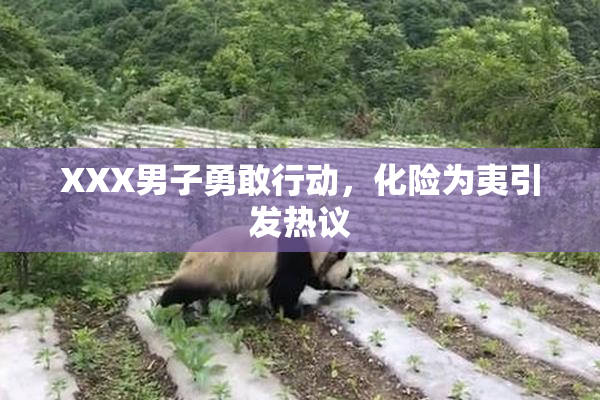 XXX男子勇敢行动，化险为夷引发热议