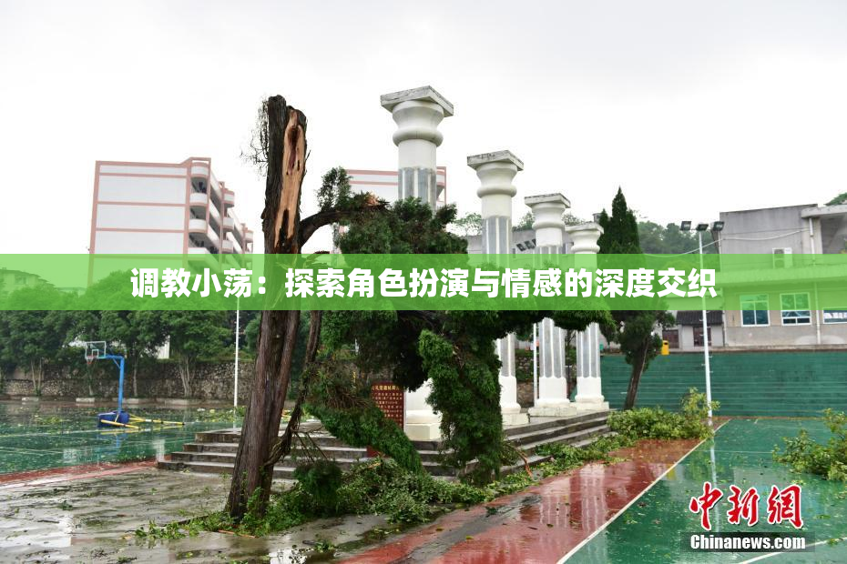 调教小荡：探索角色扮演与情感的深度交织