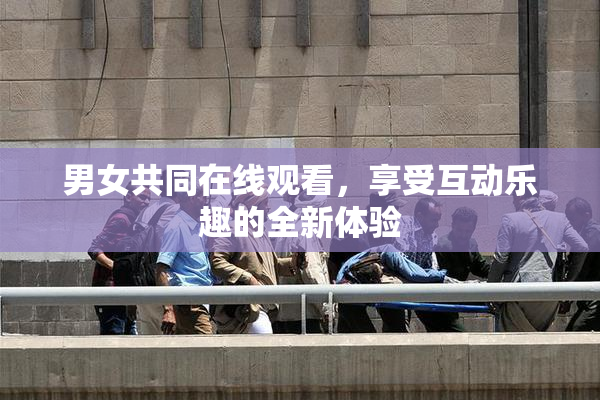 男女共同在线观看，享受互动乐趣的全新体验