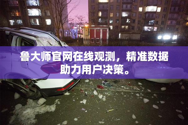 鲁大师官网在线观测，精准数据助力用户决策。