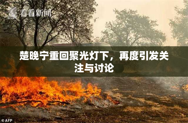 楚晚宁重回聚光灯下，再度引发关注与讨论