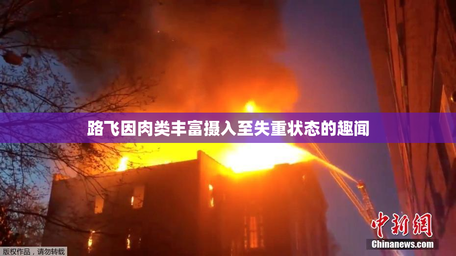 路飞因肉类丰富摄入至失重状态的趣闻