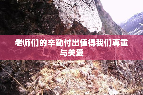 老师们的辛勤付出值得我们尊重与关爱