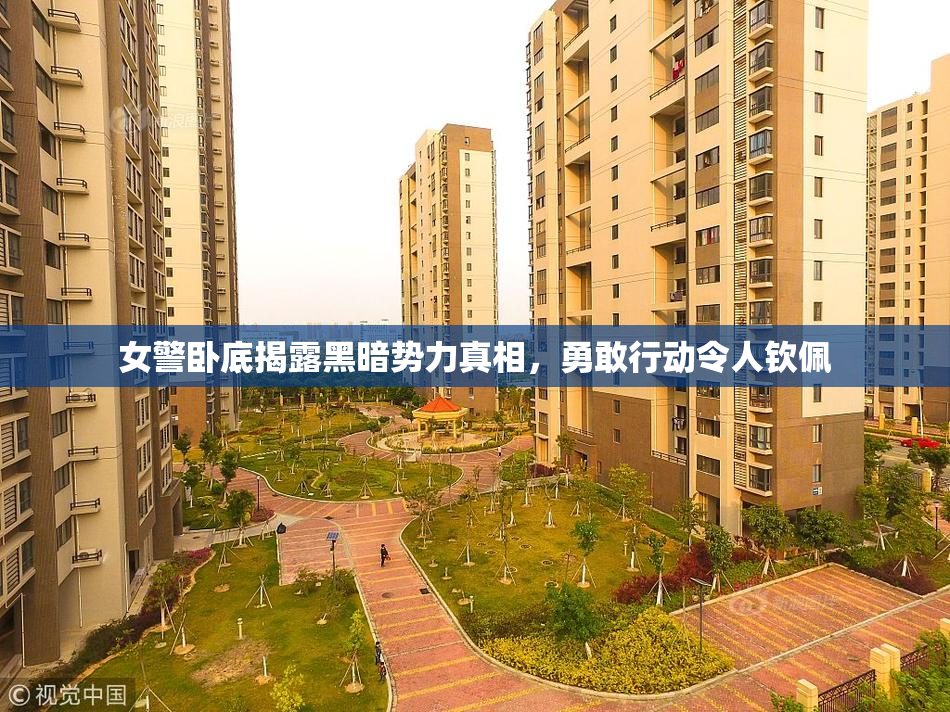 女警卧底揭露黑暗势力真相，勇敢行动令人钦佩