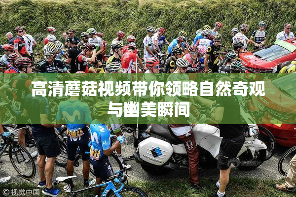 高清蘑菇视频带你领略自然奇观与幽美瞬间