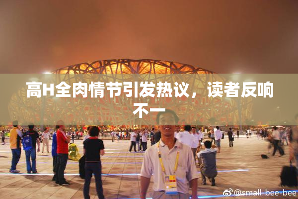 高H全肉情节引发热议，读者反响不一