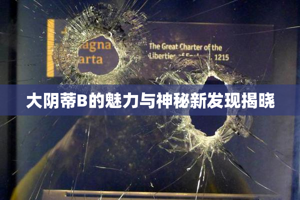 大阴蒂B的魅力与神秘新发现揭晓