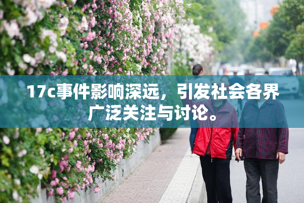 17c事件影响深远，引发社会各界广泛关注与讨论。