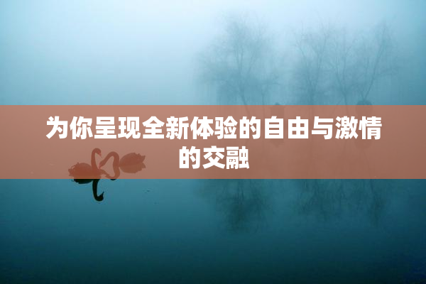 为你呈现全新体验的自由与激情的交融