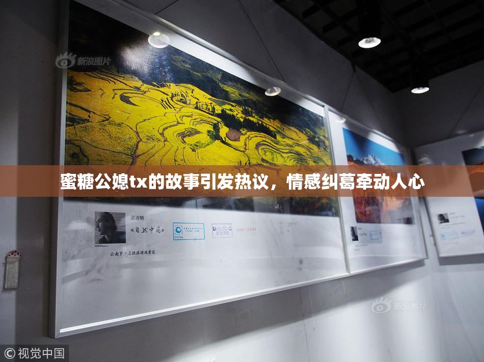 蜜糖公媳tx的故事引发热议，情感纠葛牵动人心
