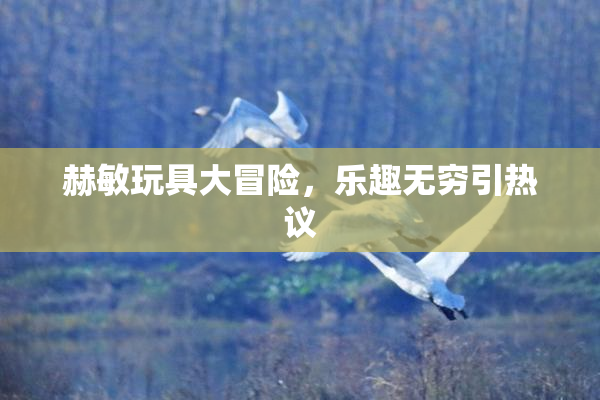赫敏玩具大冒险，乐趣无穷引热议