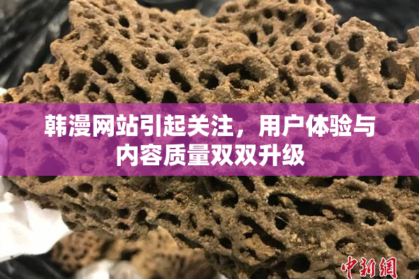 韩漫网站引起关注，用户体验与内容质量双双升级