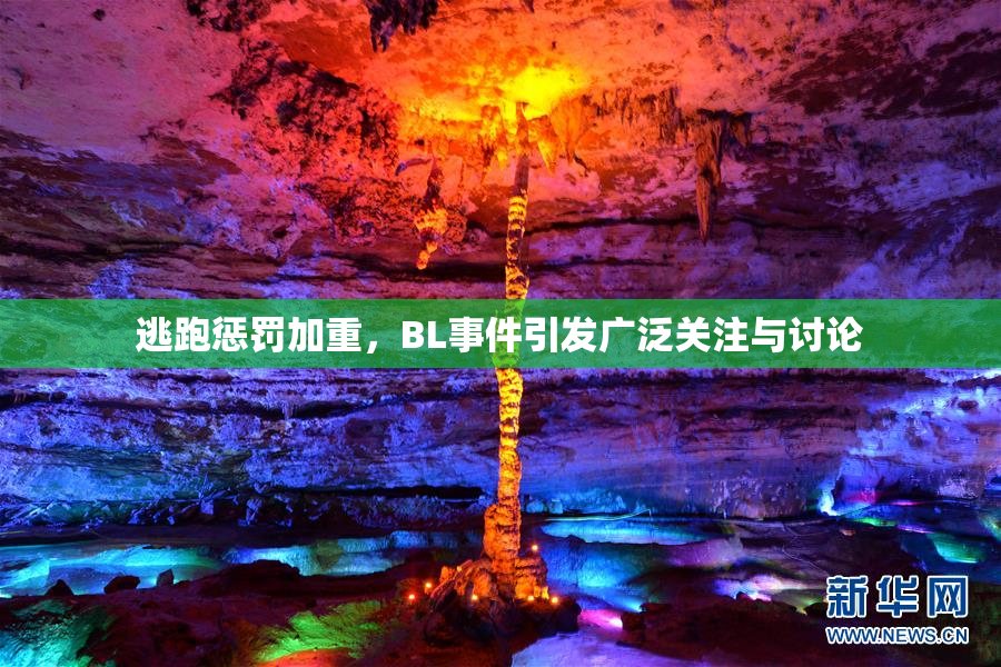 逃跑惩罚加重，BL事件引发广泛关注与讨论