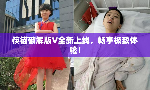 筷锚破解版V全新上线，畅享极致体验！