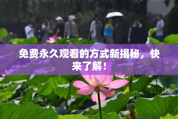 免费永久观看的方式新揭秘，快来了解！