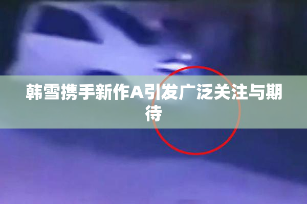 韩雪携手新作A引发广泛关注与期待