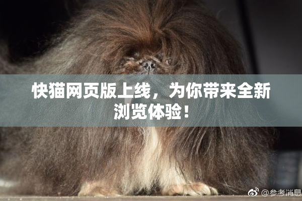 快猫网页版上线，为你带来全新浏览体验！