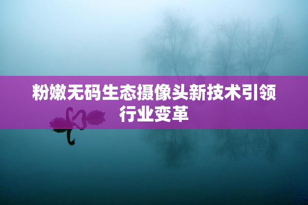 粉嫩无码生态摄像头新技术引领行业变革