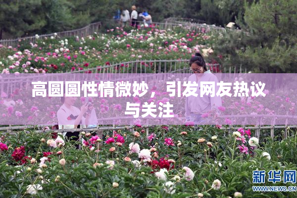 高圆圆性情微妙，引发网友热议与关注