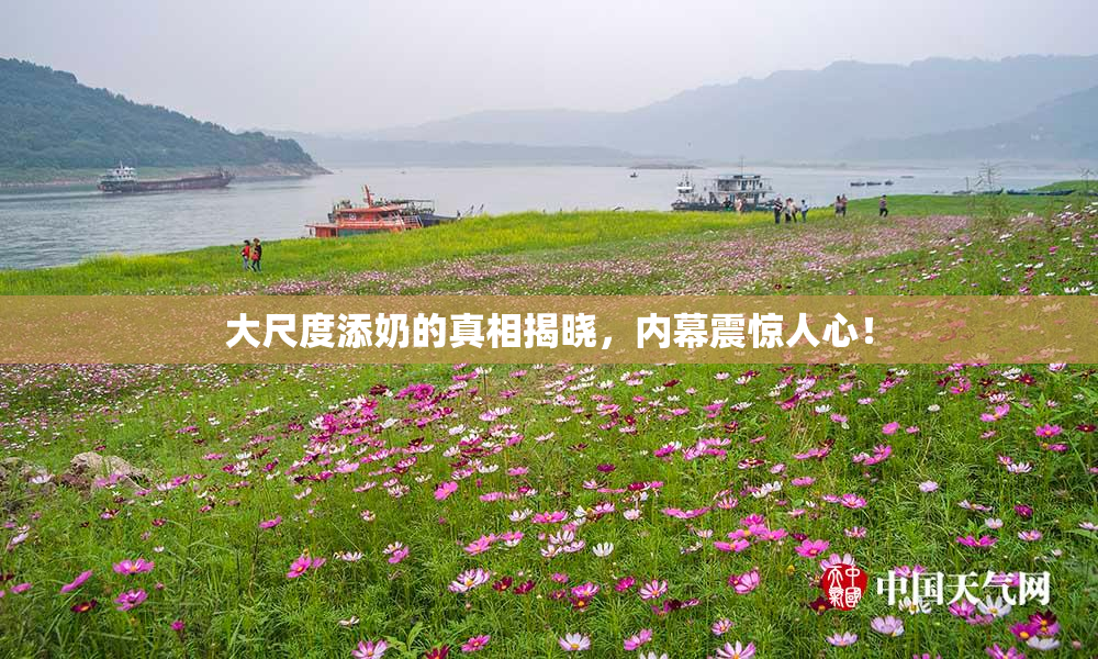 大尺度添奶的真相揭晓，内幕震惊人心！