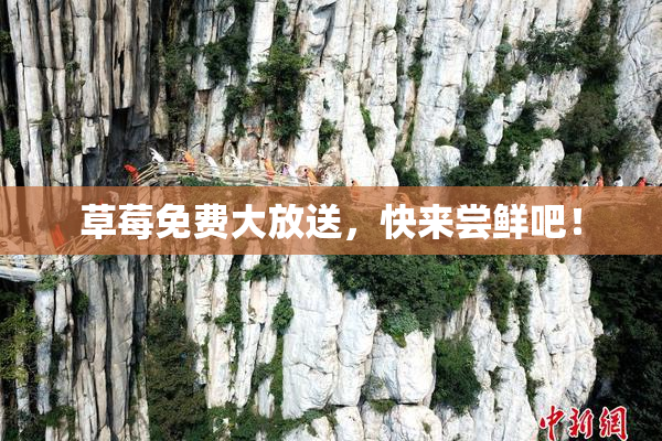 草莓免费大放送，快来尝鲜吧！