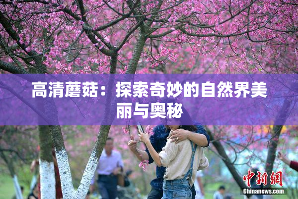 高清蘑菇：探索奇妙的自然界美丽与奥秘