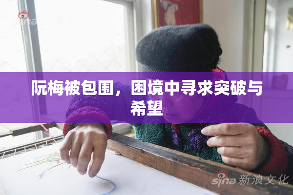 阮梅被包围，困境中寻求突破与希望