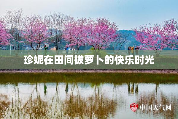 珍妮在田间拔萝卜的快乐时光