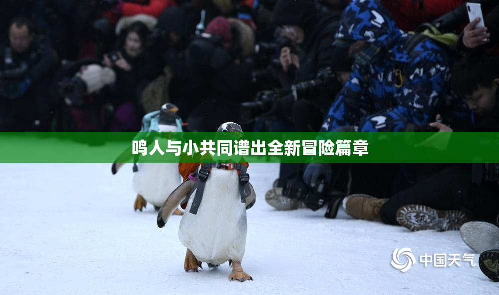 鸣人与小共同谱出全新冒险篇章