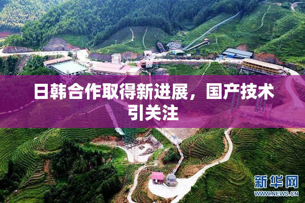 日韩合作取得新进展，国产技术引关注