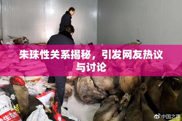朱珠性关系揭秘，引发网友热议与讨论