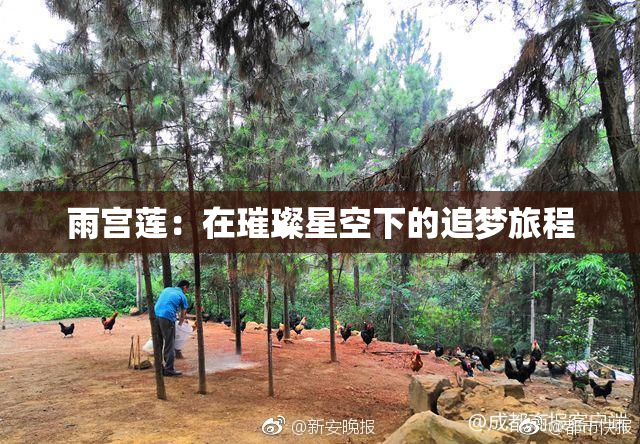 雨宫莲：在璀璨星空下的追梦旅程