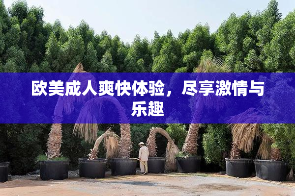 欧美成人爽快体验，尽享激情与乐趣