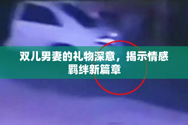 双儿男妻的礼物深意，揭示情感羁绊新篇章