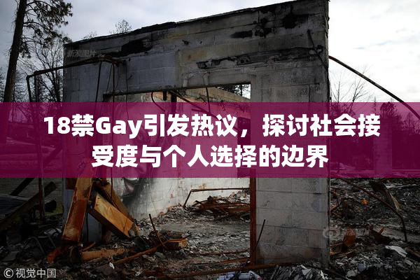 18禁Gay引发热议，探讨社会接受度与个人选择的边界
