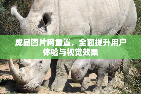 成品图片网重置，全面提升用户体验与视觉效果