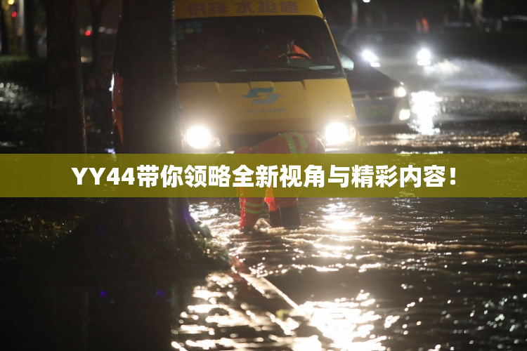 YY44带你领略全新视角与精彩内容！
