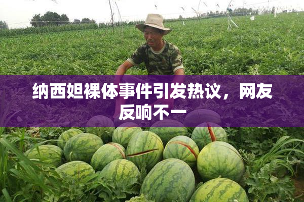 纳西妲裸体事件引发热议，网友反响不一