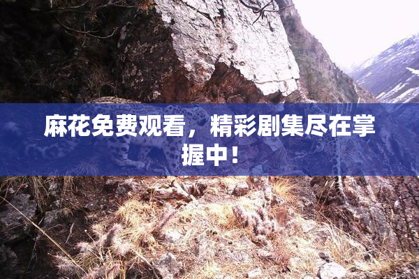 麻花免费观看，精彩剧集尽在掌握中！
