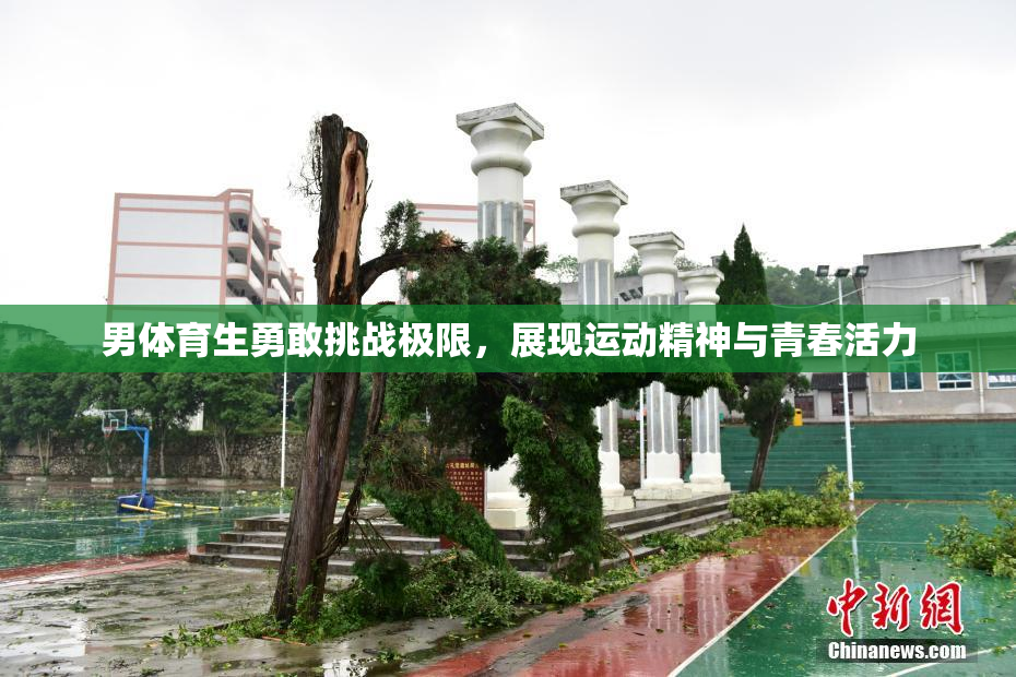男体育生勇敢挑战极限，展现运动精神与青春活力
