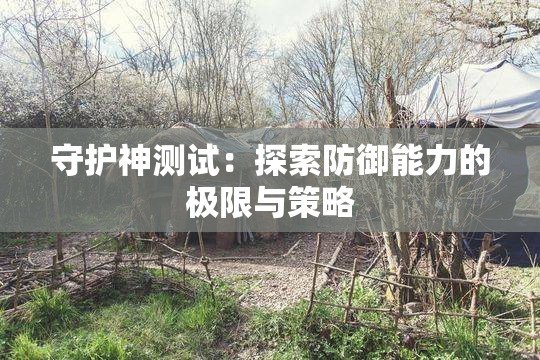 守护神测试：探索防御能力的极限与策略