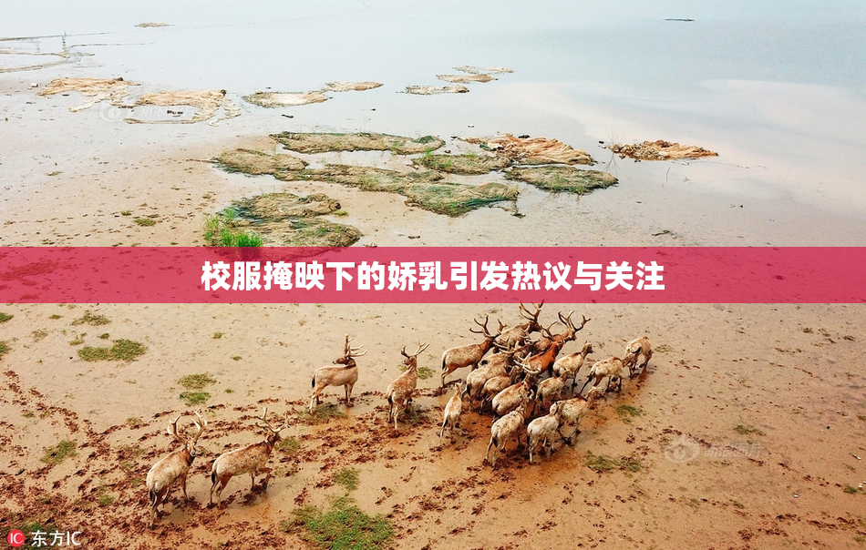 校服掩映下的娇乳引发热议与关注