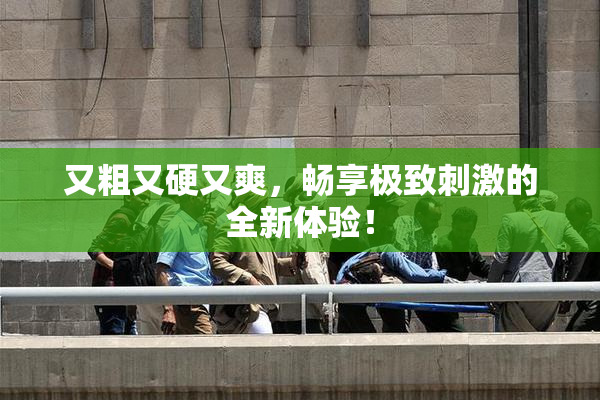 又粗又硬又爽，畅享极致刺激的全新体验！