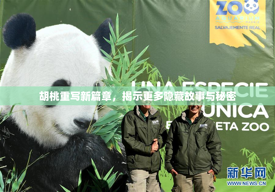 胡桃重写新篇章，揭示更多隐藏故事与秘密
