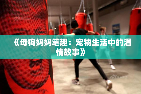 《母狗妈妈笔趣：宠物生活中的温情故事》