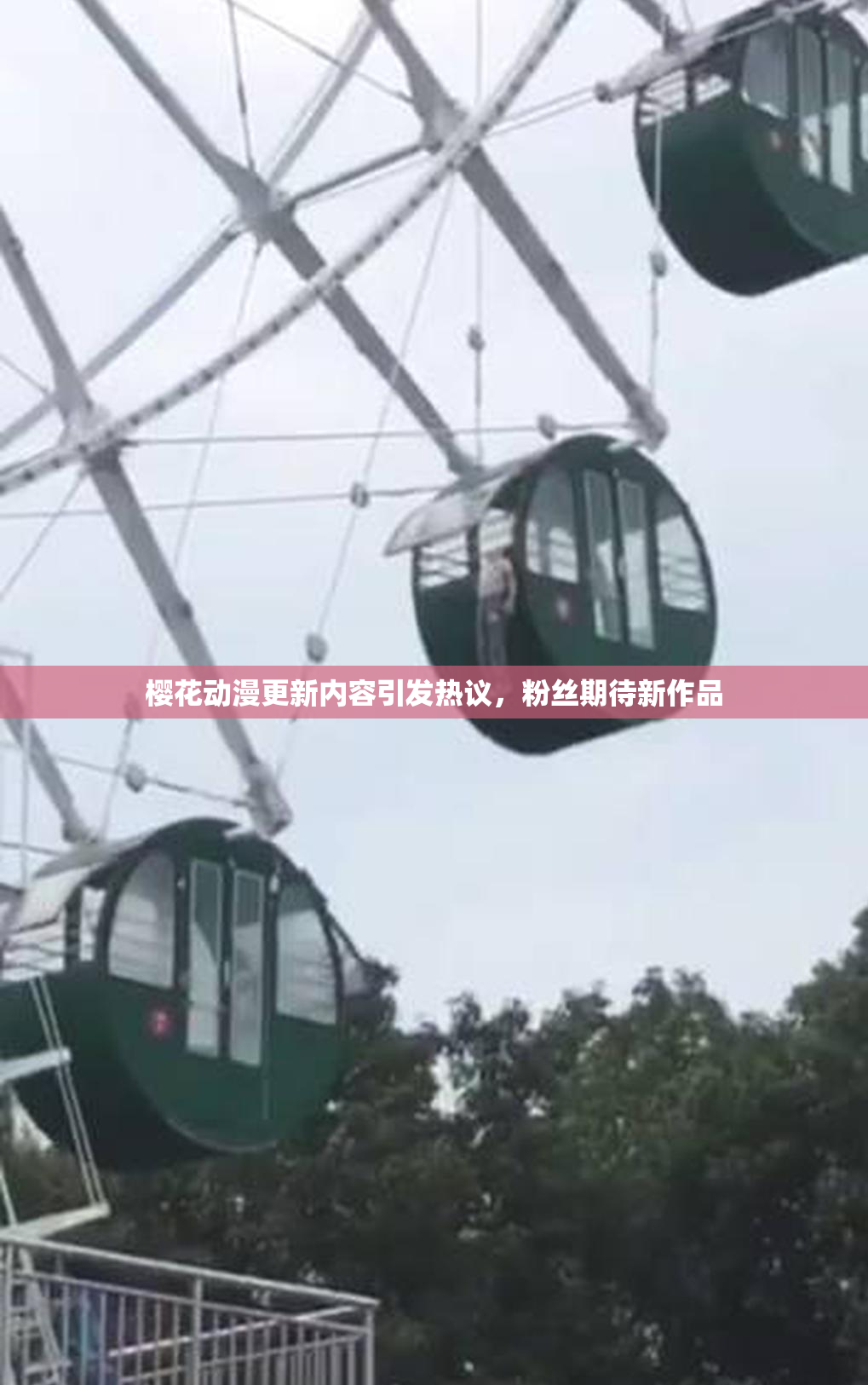 樱花动漫更新内容引发热议，粉丝期待新作品