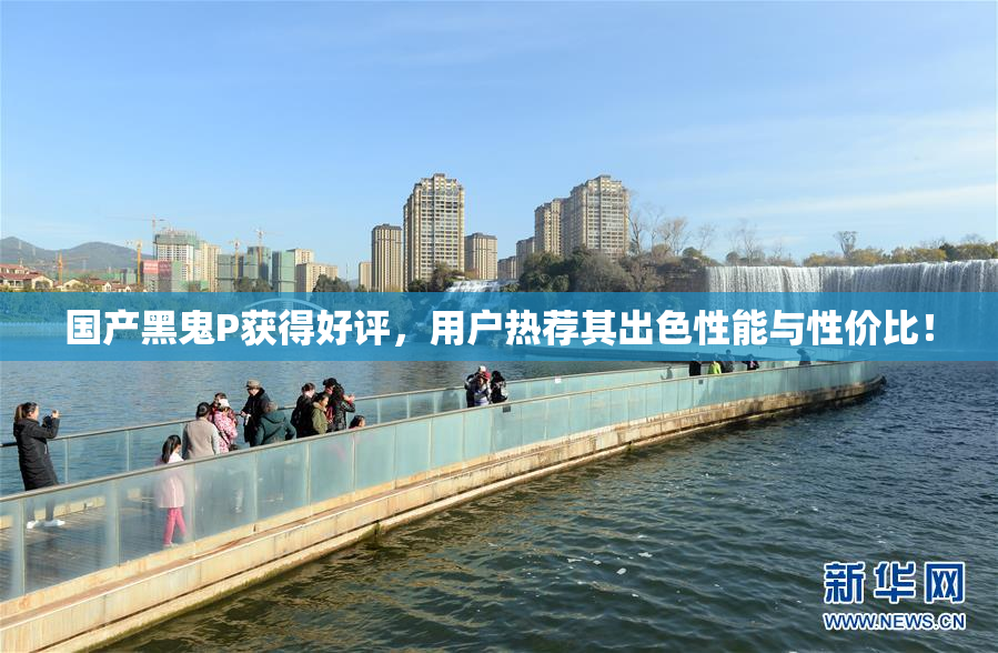 国产黑鬼P获得好评，用户热荐其出色性能与性价比！